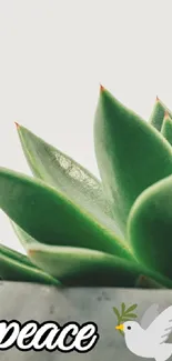 Bird Plant Terrestrial Plant Live Wallpaper