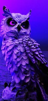 Bird Purple Blue Live Wallpaper