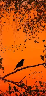 Bird silhouette on tree branch with orange sunset background.