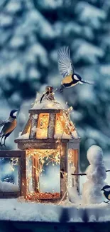 Bird Snow Vertebrate Live Wallpaper