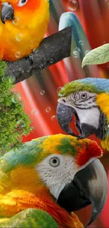 Colorful parrot phone wallpaper with vibrant plants.