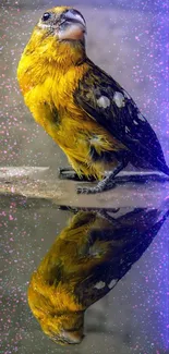 Bird Water Light Live Wallpaper