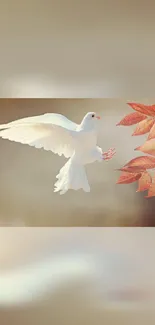 Bird Wing Beak Live Wallpaper