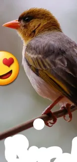 Bird perched with heart-eye emoji and playful text.