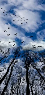 Blue sky wallpaper with birds and trees.