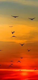 Birds flying across a vivid orange sunset sky, creating a serene landscape.