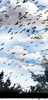 A flock of birds flying across a blue sky with fluffy white clouds.