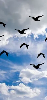 Silhouettes of birds flying in a cloudy blue sky wallpaper.