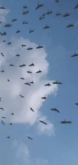 Flock of birds flying in a vibrant blue sky with clouds.