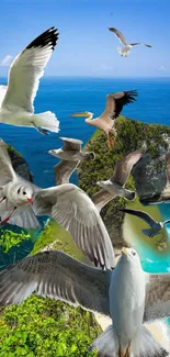 Birds flying over a tropical island with blue ocean.