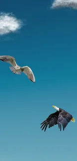 Eagle and seagull soaring in a bright blue sky with clouds.