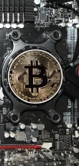 Bitcoin accented circuit board wallpaper showcasing tech design.