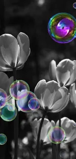 Black and white tulips with a colorful bubble.