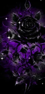 Gothic black and purple rose wallpaper design.