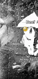 Monochrome wallpaper featuring a cat and dog in rain with text elements.