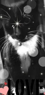 Monochrome cat with love text and sparkling stars.