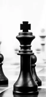 Black and white chess pieces on a chessboard, showcasing a strategic game setup.
