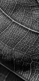 Black and white detailed leaf texture wallpaper for mobile.