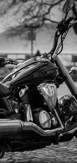 A sleek black motorcycle on a cobblestone path in monochrome tone.