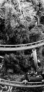 Black and white roller coaster in dense forest.