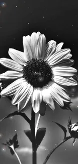 Monochrome sunflower with artistic flair.