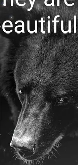 Close-up black bear with text 'They are beautiful'.