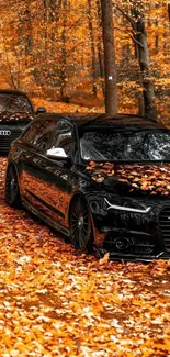 Black cars surrounded by orange autumn leaves in a forest setting.