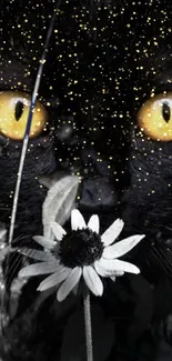 Black cat with yellow eyes peering through white flowers on a dark background.