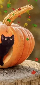 Black cat sitting inside a carved pumpkin surrounded by colorful fall leaves.