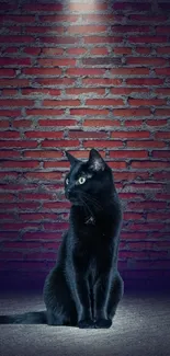 Black cat sitting under spotlight against a rustic brick wall backdrop.