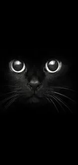 Mysterious black cat eyes in darkness wallpaper.