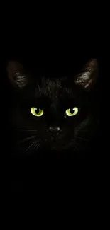 Black cat with piercing yellow eyes on a dark background.