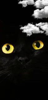 Black cat with yellow eyes on a dark background wallpaper.