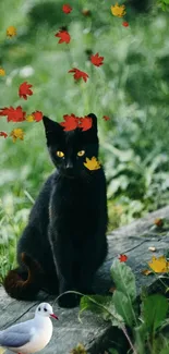 Black cat sitting amidst lush green vegetation.