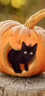 Black cat inside a carved pumpkin on a rustic wooden surface.