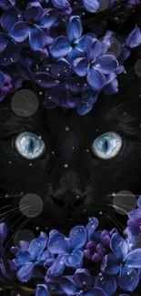 Black cat with blue eyes in purple flowers mobile wallpaper.