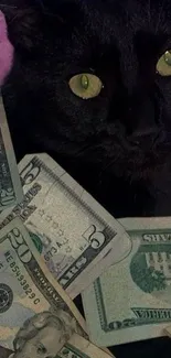 Black cat surrounded by money in a striking mobile wallpaper.