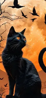 Black cat with moon background, orange night sky.