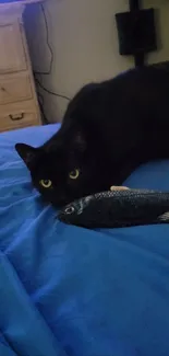 Black cat on a blue bed with a toy fish, creating a cozy, serene scene.