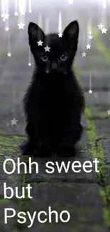 Black cat sitting on a mossy path with text overlay.