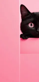 Black cat peeks over a pink background.