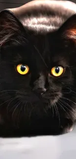 A striking black cat with bright yellow eyes.