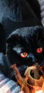 Black cat with bat wings and red eyes on gray background.