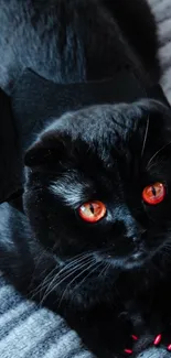 Black cat with bat wings and red eyes on a soft gray blanket.