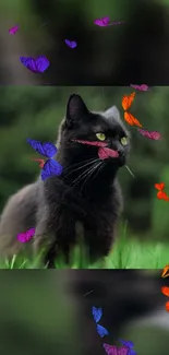 Black cat with colorful butterflies on green grass wallpaper.