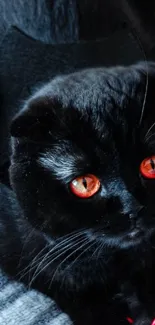 Black cat with fiery orange eyes, mysterious and elegant.