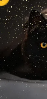 Mysterious black cat with golden sparkles and glowing yellow eyes.