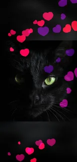 Black cat with vibrant pink and purple hearts on a dark background.