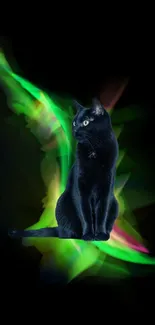 Black cat with neon glow on dark background wallpaper.