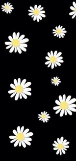 Elegant black wallpaper with white daisies for a stylish phone look.